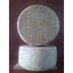 FORMAGGIO OVINO SARDO '' BOCCIOLO''