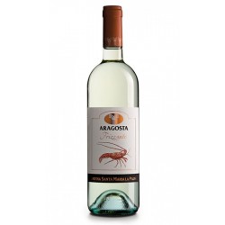 VINO ARAGOSTA FRIZZANTE BIANCO CL 75