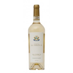 VERMENTINO SA CONCA CL 75